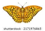 Watercolor the silver-washed fritillary butterfly. Argynnis paphia isolated on white background. Hand drawn painting insect illustration.