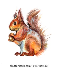 easy how to draw a squirrel tutorial and squirrel coloring page on red squirrel drawing easy