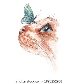 watercolor sketch cat nose and butterfly  cute illustration