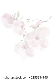 watercolor sketch drawing of the magnolia flower branch in bloom - Shutterstock ID 2155234945