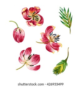 Watercolor Sketch Of Exotic Flowers