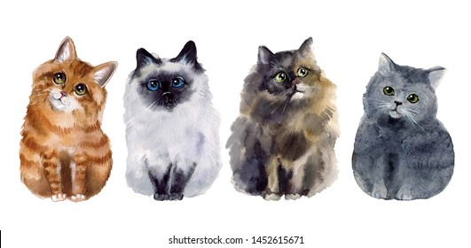 Cat Vintage Drawing High Res Stock Images Shutterstock