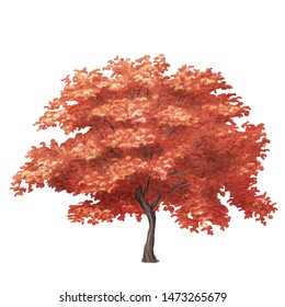 「Watercolor Sketch Japanese Maple Tree」のイラスト素材 1473265679