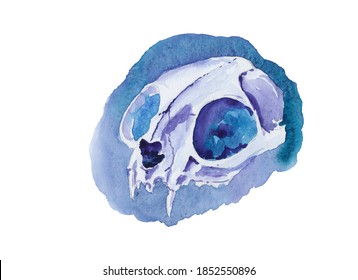 Watercolor Sketch Painting With Colorful Cat Skull Isolated On White Background. Use For T-shirt Print, Card, Tattoo, Barber Shop Interior Decoration. Hand Drawn Illustration. Original Artwork.