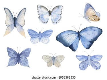 Watercolor Sky Blue Butterfly Clipart. Summer Moth. Perfect For Wallpaper, Paper, Textile, Wedding, Nursery And Other Design. Wedding Invitation. Isolated On White Background. Scrapbooking.