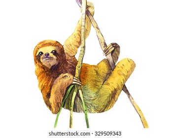 1,752 Sloth watercolor Images, Stock Photos & Vectors | Shutterstock