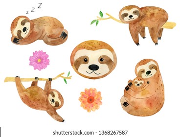Watercolor Sloth Illustration