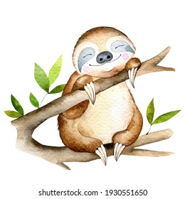 Watercolor Sloth Illustration, Hand Painted