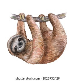 Watercolor Sloth Illustration. Tropical Animal. Template. Handmade. Close-up. 