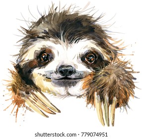 Watercolor Sloth Illustration. Tropical Animal