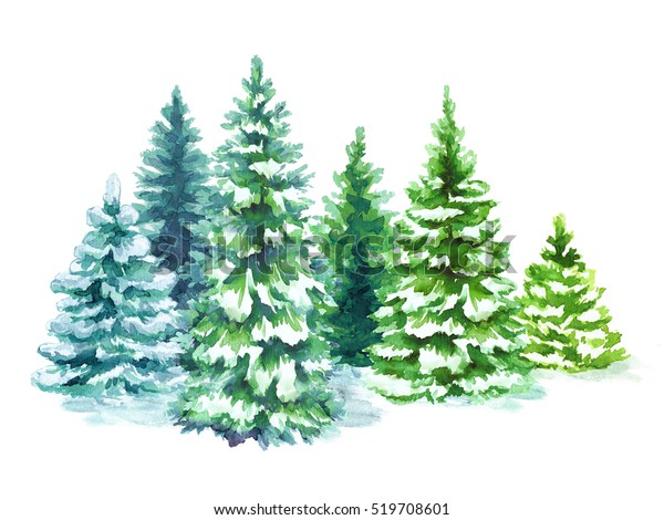 水彩の雪の多い森のイラスト クリスマスモミの木 冬の自然 針葉樹 休日の背景 田園風景 白い背景に野外植物 のイラスト素材 519708601