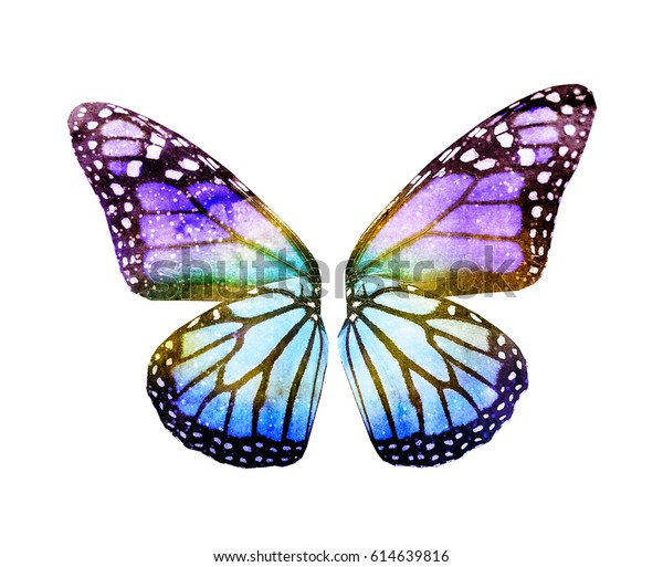 白い背景に水彩の蝶の羽 のイラスト素材