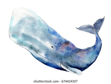 Watercolor Sperm Whale,  Hand-drawn Illustration Isolated On White Background.