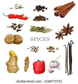 Watercolor Spices Clipart, Chilli Pepper, Allspice, Cinnamon, Cardamon, Ginder, Vanilla, Turneric Illustrations