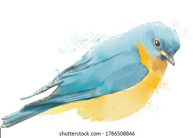 Watercolor splashes forest wild bird illustration isolated jpeg high resolution 300 dpi
