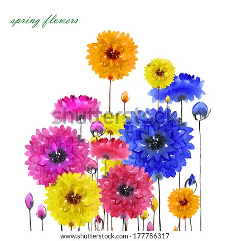 watercolor spring  flowers 