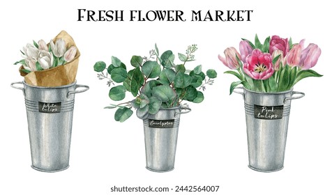 Watercolor spring flowers collection, white and pink tulip bouquets, eucalyptus leaves in a galvanized iron bucket,  fresh flower market postcard. Florist shop card - Powered by Shutterstock