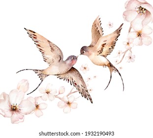 Watercolor spring flying swallows isolated and blossom flowers on white background.