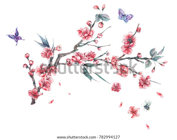 桜桃 梨 桜 リンゴの木 蝶のピンクの花が咲くビンテージ花柄のブーケ 花の分離植物イラスト のイラスト素材