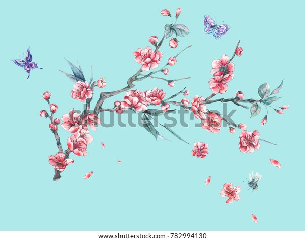 青の背景に水彩の春のグリーティングカード 桜桃 ナシ 桜 リンゴの木 蝶のピンクの花が咲く花のブーケ 花の植物イラスト のイラスト素材