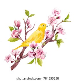 Watercolor Spring Illustration Yellow Bird Canary Stock Illustration 784555258