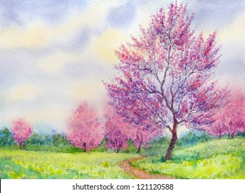 Watercolor Spring Landscape. Flowering Tree In A Field Beside The Path