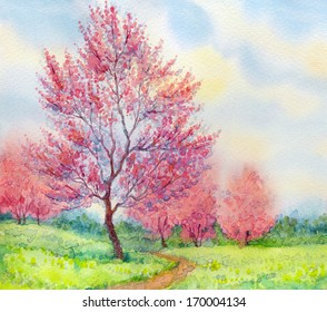 Watercolor Spring Landscape. Flowering Tree In A Field Beside The Path