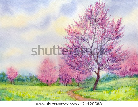Watercolor spring landscape. Flowering tree in a field beside the path