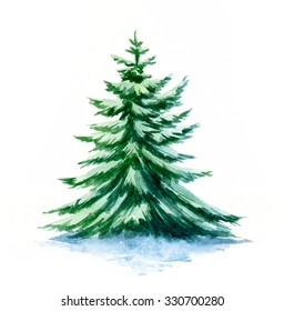 Watercolor spruce.
