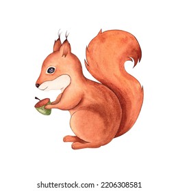 Watercolor Squirrel. Hand Drawn Illustration, Isolated On White Background