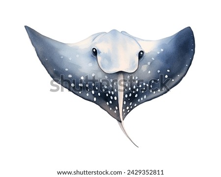 Watercolor stingray, sea. Illustration clipart isolated on white background.