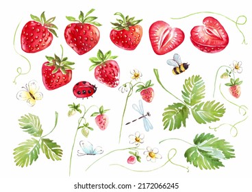 Watercolor strawberries set.  Hand-painted clipart. Isolated