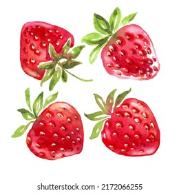 Watercolor strawberries set.  Hand-painted clipart. Isolated