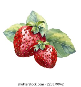 Watercolor Strawberry 