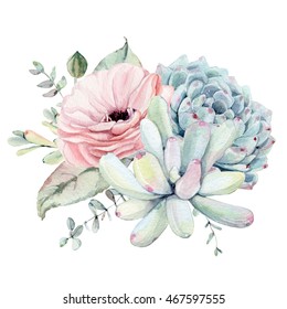 Watercolor succulent composition. Isolated objects: succulents, plant. Hand painted vintage garden illustration.Perfect for card, wedding invitation, birthday card.
