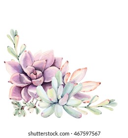 Watercolor succulent composition. Isolated objects: succulents, plant. Hand painted vintage garden illustration.Perfect for card, wedding invitation, birthday card.