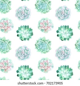 Watercolor Succulent Pattern