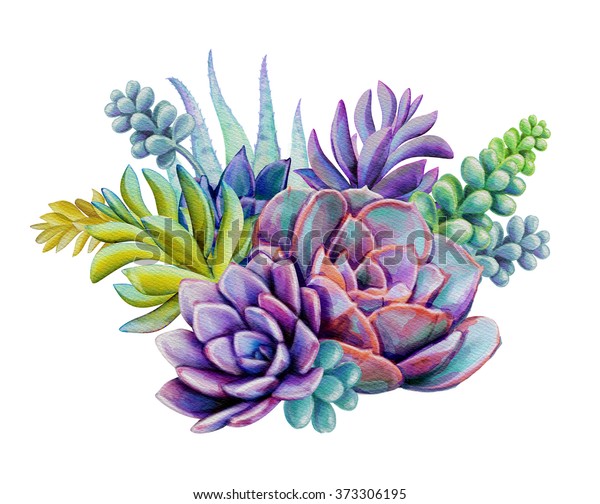 watercolor-succulent-plants-composition-