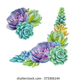 watercolor succulent plants, floral bouquet illustration, botanical design elements set isolated on white background