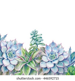 Download Watercolor Succulent Plants Images Stock Photos Vectors Shutterstock