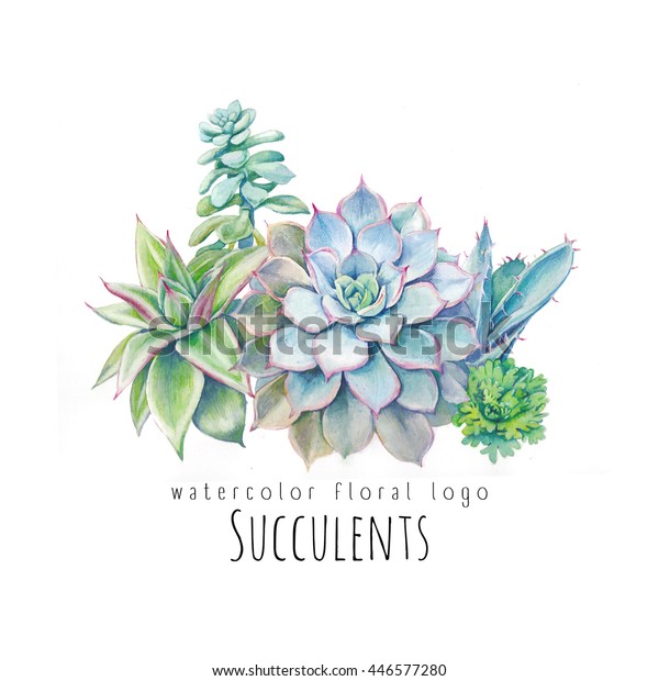 水彩多肉植物标志设计 手工绘制的花卉组合物的横幅或标签 绿色植物花束隔离在白色背景 植物插画库存插图