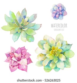 Watercolor succulents set. Hand drawn floral elements isolated on white background. Modern botanical clip art for eco friendly, fashion, rustic design