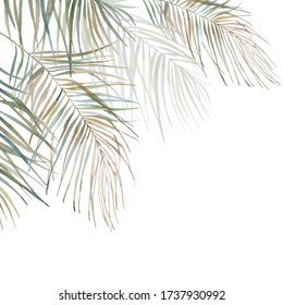 Rectangular Tropical Frame Botanical Card Design Stock Illustration ...