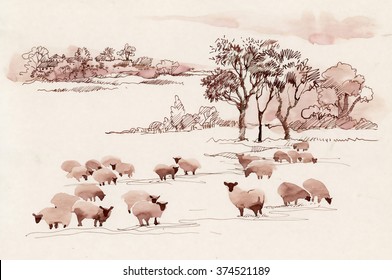 Watercolor Summer Landscape With Sheep.