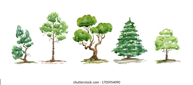 Watercolor Summer Trees, Bush. Set Of Hand Drawn Green Plants. Landscape. Nature