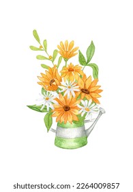 Watercolor Sunflower Clipart  A bouquet sunflowers in metal watering can  A composition sunflowers   daisies   Hand drawing