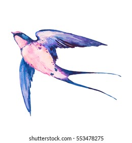 Watercolor swallow bird. Flying bright bird isolated on white background. Hand painted illustration.