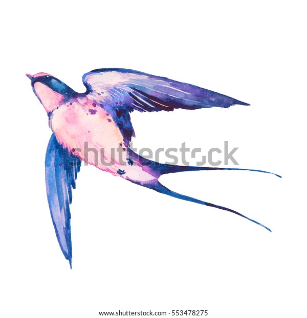水彩ツバメの鳥 白い背景に飛ぶ明るい鳥 手描きのイラスト のイラスト素材