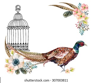 Watercolor Swinhoe pheasant card. Hand painted illustration with Anemones, herbs, feathers, pheasant and bird cage