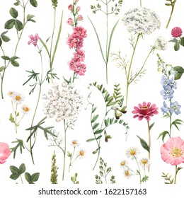 Watercolor tender floral pattern  wildflowers white background  blue   pink delphinium  chamomile  pink poppy  green meadow grass  Queen Anne's Lace 